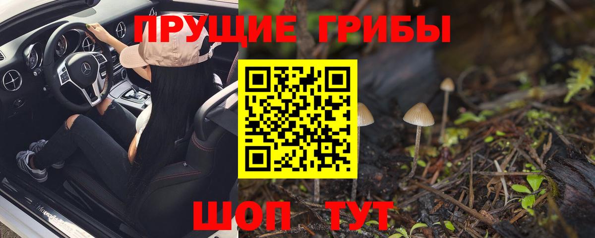 Балашов  Псилоцибиновые грибы Magic Shrooms  Галлюциногенные грибы прущие грибы  Вход с VPN 